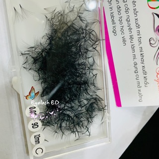 Xưởng sản xuất mi Ed Lashe