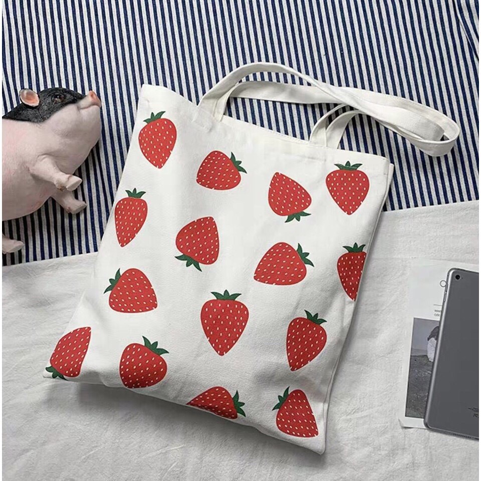 [Bộ sưu tập] Túi Tote Vải canvas Đẹp Cực Hot có khóa miệng mẫu hot nhất 2021