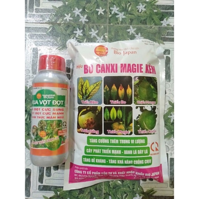 Vua vọt đọt+ Bo canxi magie kẽm