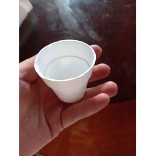 Chậu nhựa cắm hoa