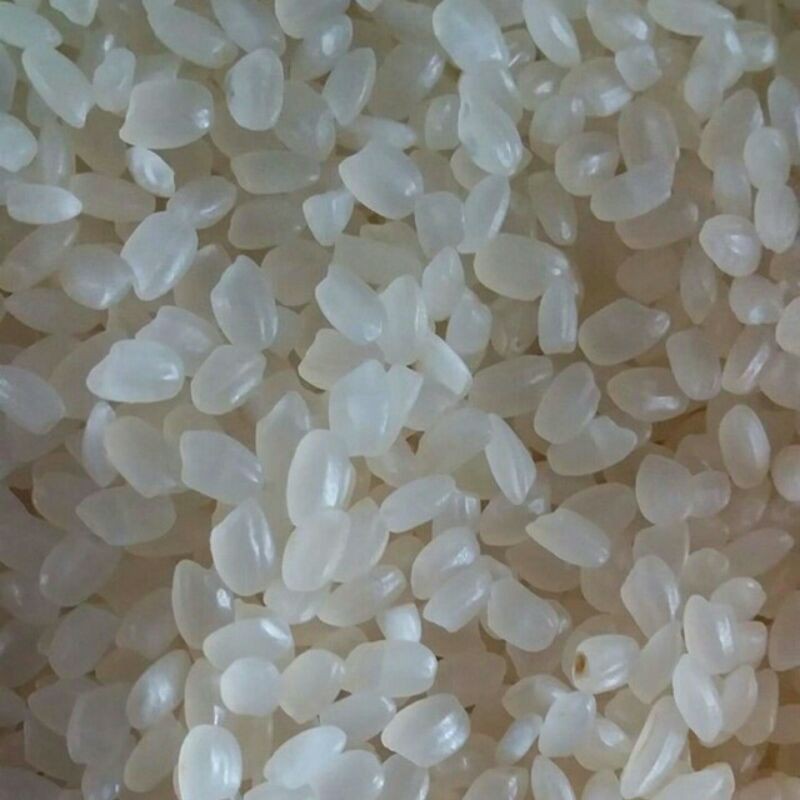 Gạo Nhật Hạt Tròn - Gạo Nhật Làm SuShi