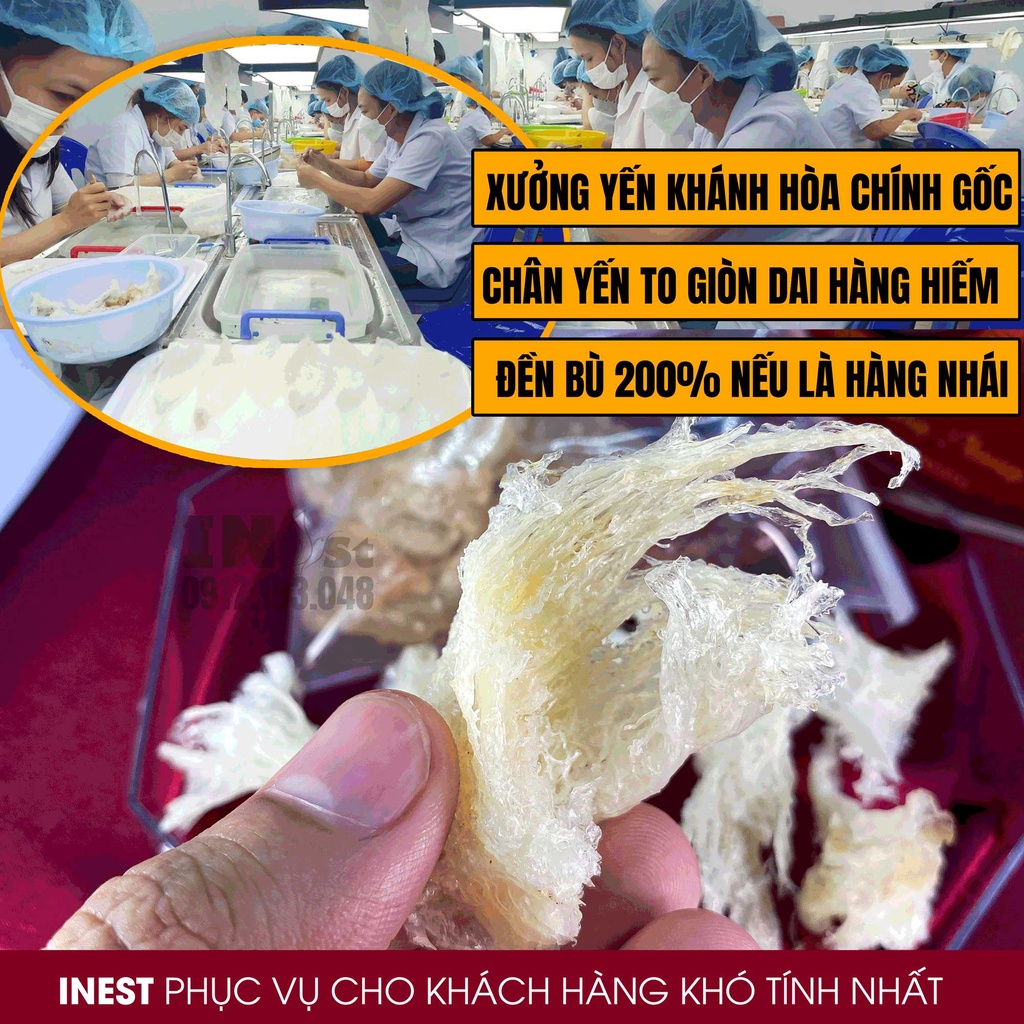 100g Chân Yến Tinh Chế  LOẠI 1 Chân Yến Tinh Chế Nguyên Chất - Yến Sào Khánh Hòa INest