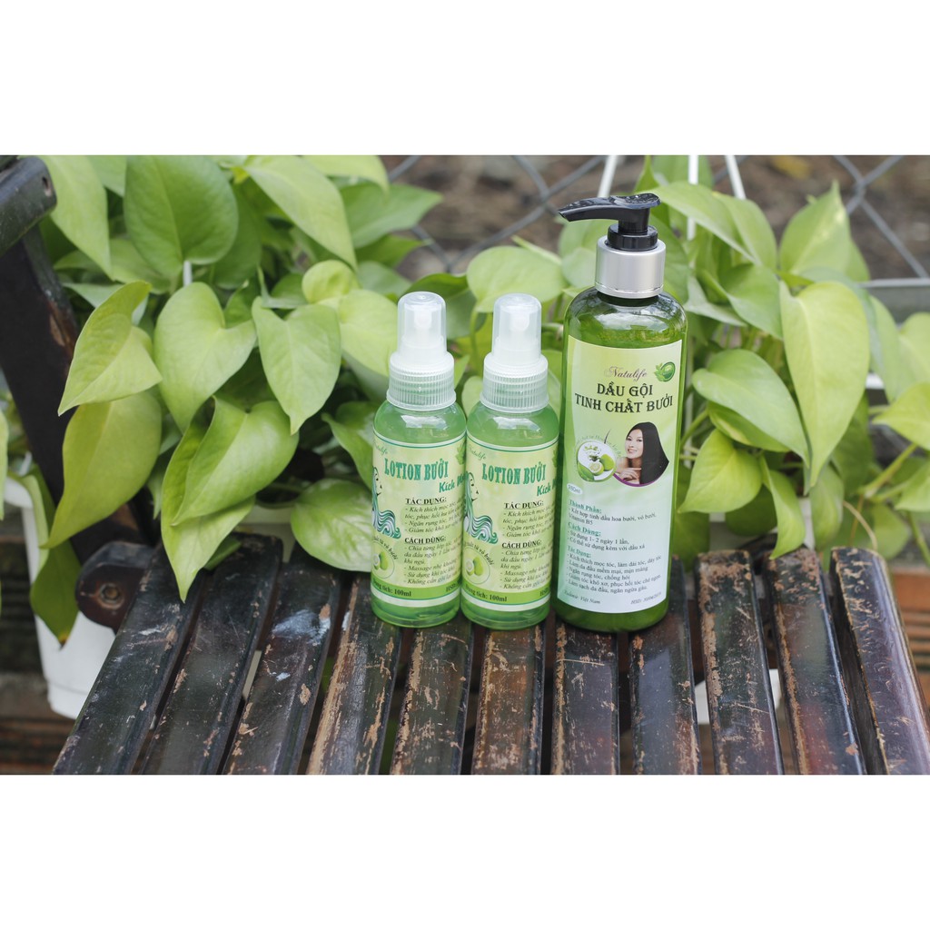 COMBO 2 SIÊU MỌC TÓC NATULIFE | BigBuy360 - bigbuy360.vn