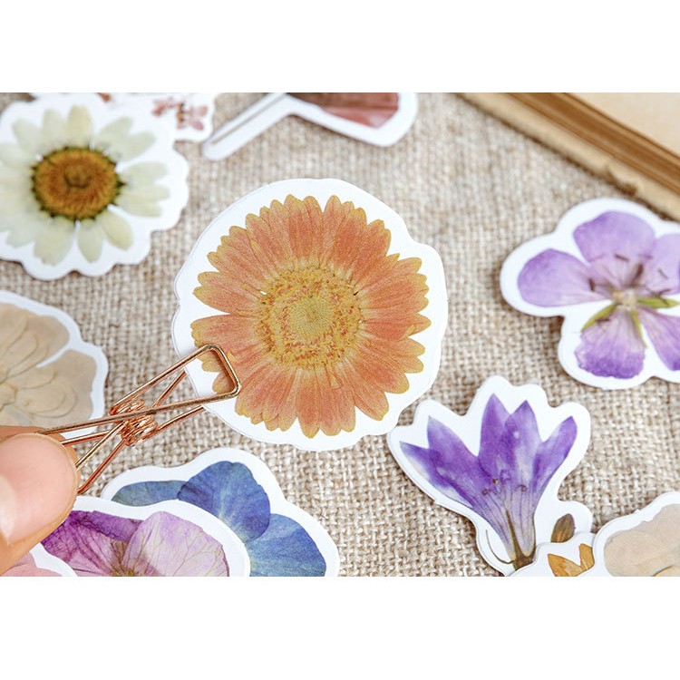 Hộp 46 miếng sticker mẫu hoa cúc trắng