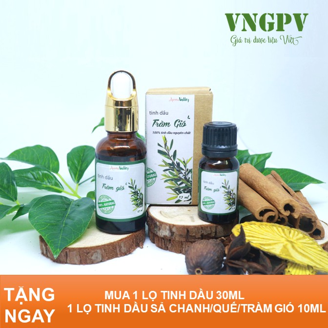 Tinh dầu tràm gió GPV