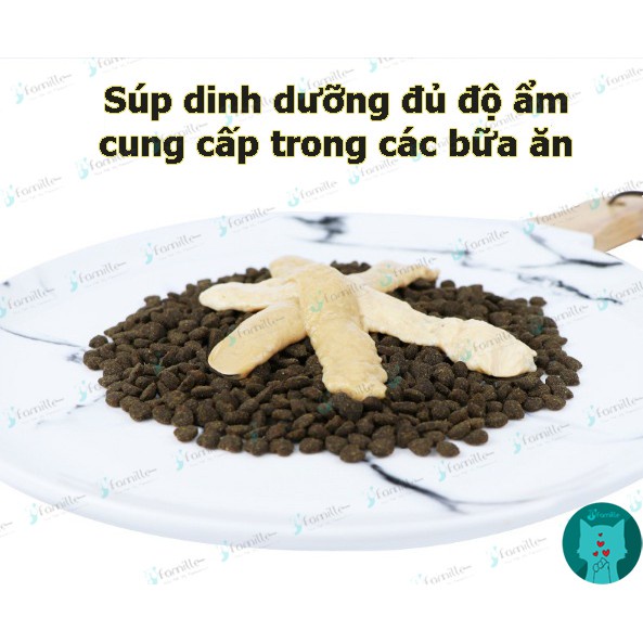 [MỀM MỊN]Thức Ăn Mềm Cung Cấp Độ Ẩm JFamille, Súp Thưởng Dinh Dưỡng Cho Mèo Vị Cá Hồi&amp;Gà. TĂNG ĐỀ KHÁNG. Gói 15g - JF80