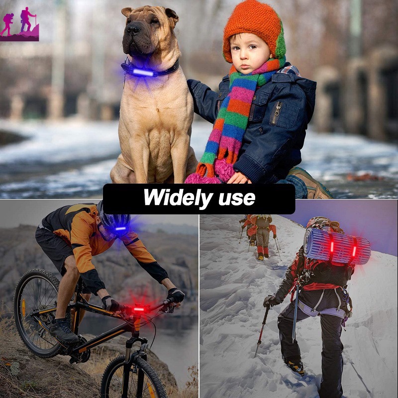 Đèn LED Sạc USB Gắn Sau Xe Đạp Chống Nước IPX-5 Báo Hiệu An Toàn Có Thể Sạc Lại Được A-210