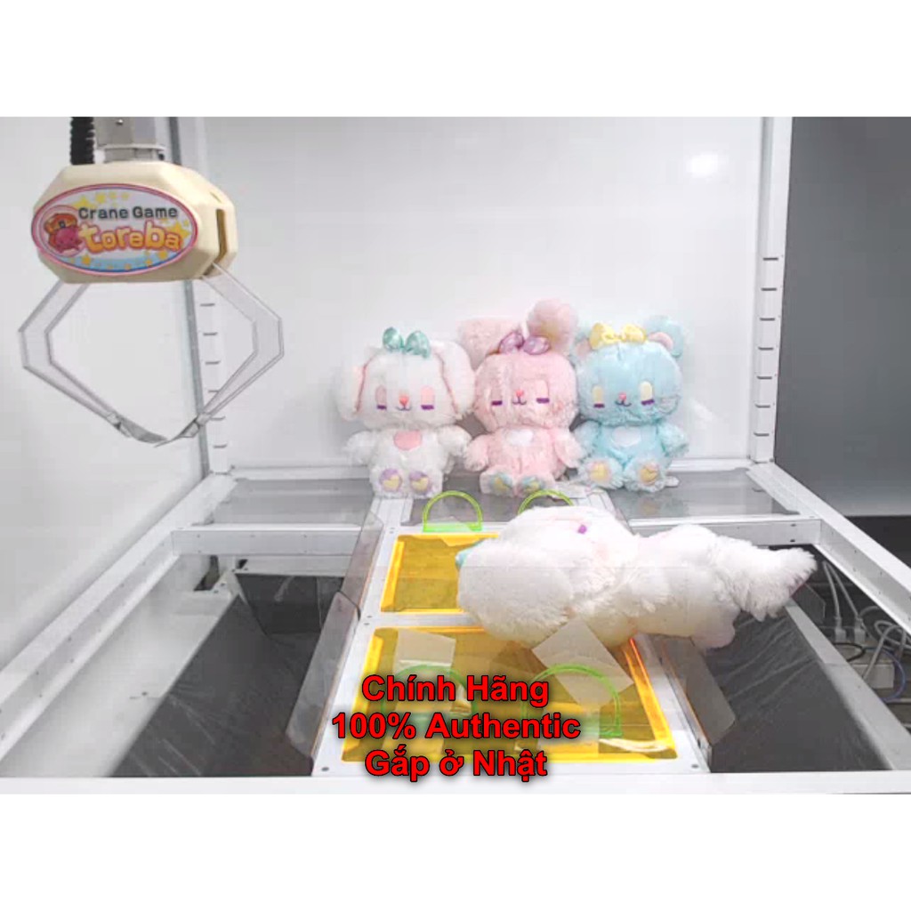 Cotton Candies Sugar Jumbo Chính Hãng Gấu Bông Nhật Amuse Authentic