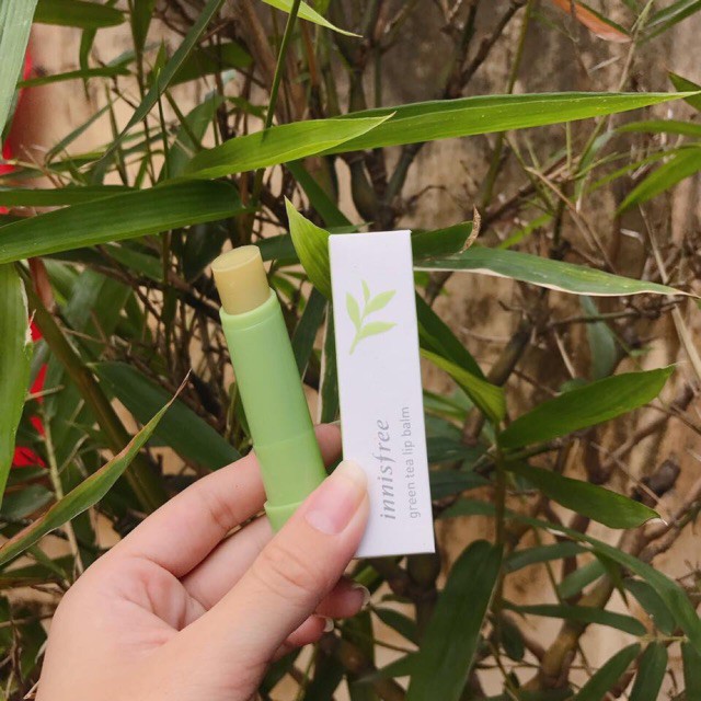 Son Dưỡng Môi Từ Trà Xanh Innisfree Green Tea Lip Balm