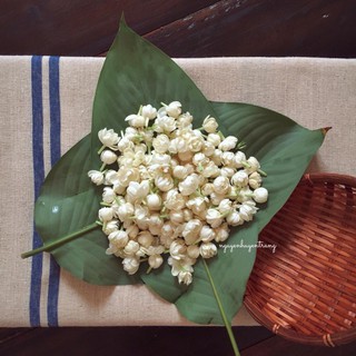 Quang Gánh Trang Trí Cắm Hoa