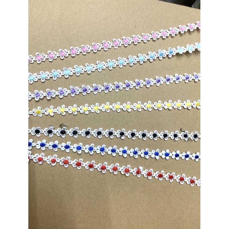 1m Ren hoa mai nhị màu cute.