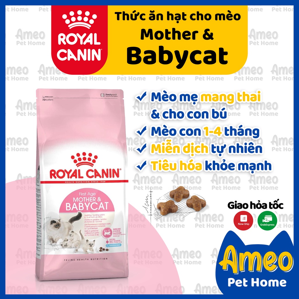 Royal Canin Mother &amp; Baby Cat 2kg 400g - Thức Ăn Cho Mèo Mẹ Và Mèo Con 1-4 Tháng Tuổi