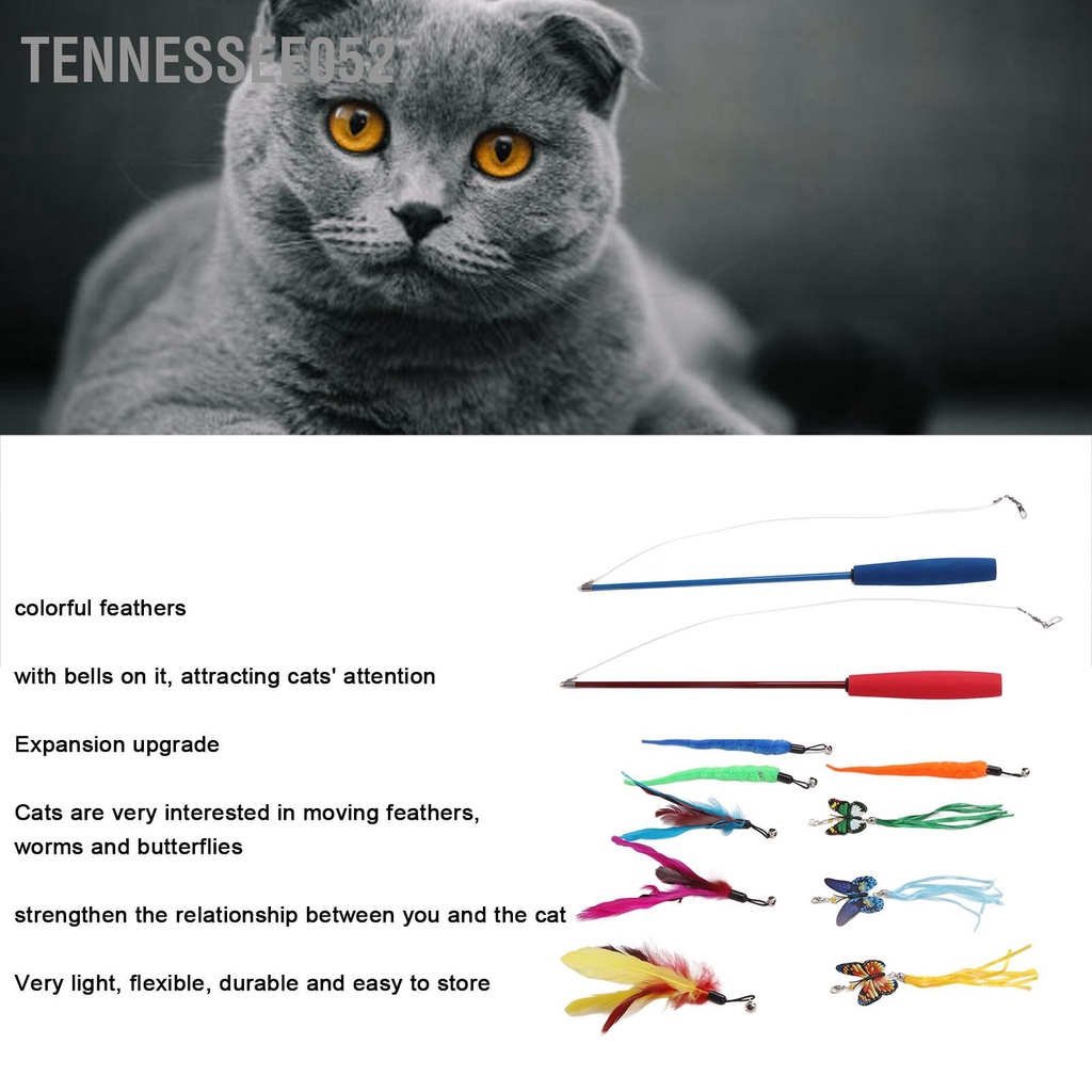 Đồ Chơi Lông Vũ TrọNg LượNg LượNg Cao Cho MèO