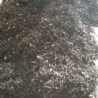 10KG TRÀ SƠN MẬT HỒNG SÂM SAPA