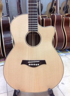 Đàn Guitar Acoutic BP250