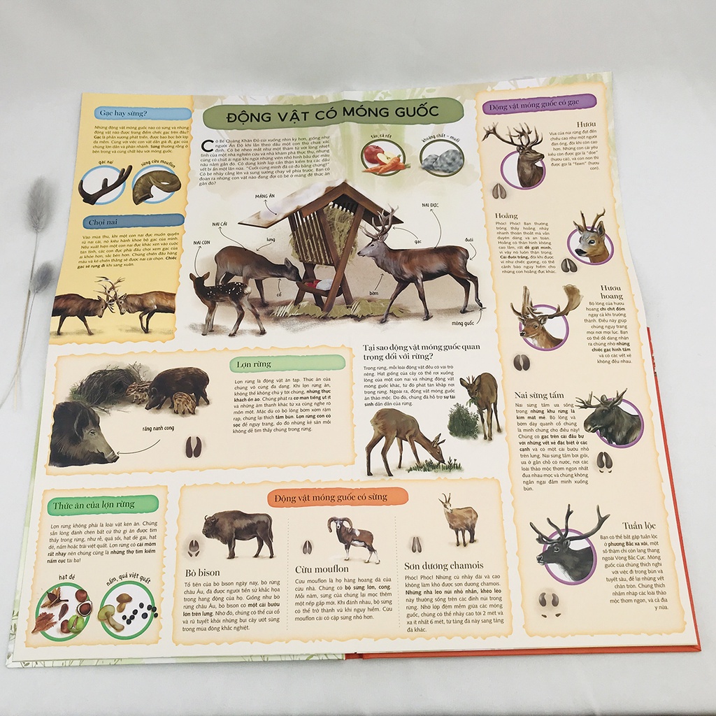 Sách - Truyện Cổ Tích Cùng Bé Khám Phá Thế Giới (Bộ 4 quyển, Lẻ tùy chọn) - HH