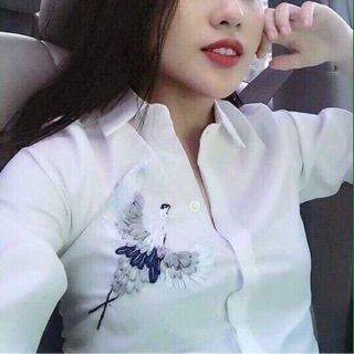 Combo sơmi hạc