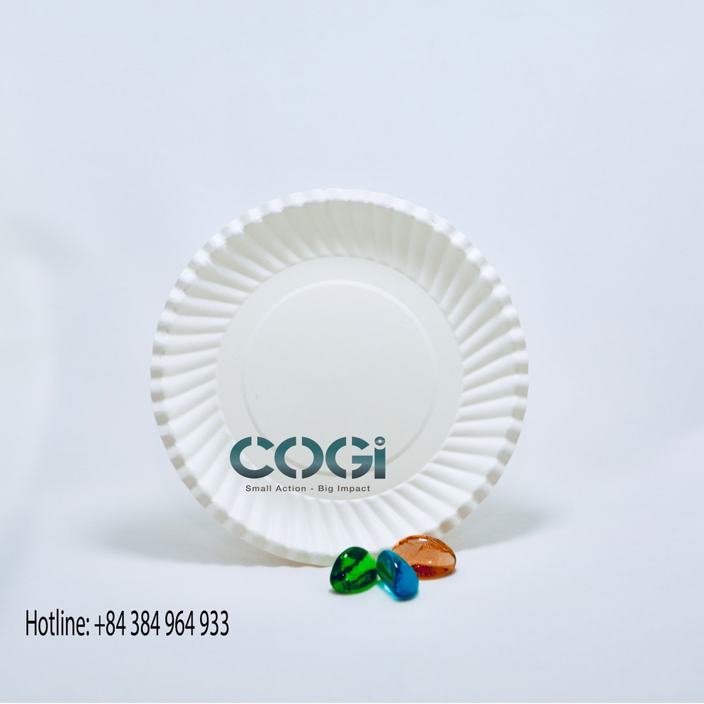 COMBO 50 DĨA GIẤY TRẮNG - 13CM, 16CM, 19CM, 21CM