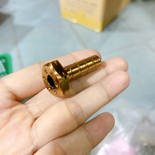 Ốc tăng đưa đũa thắng