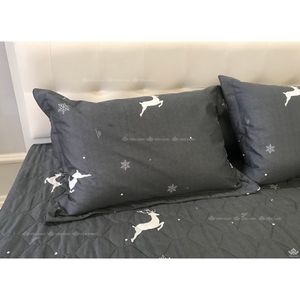 Bộ ga gối Sông Hồng Basic cotton BC22067