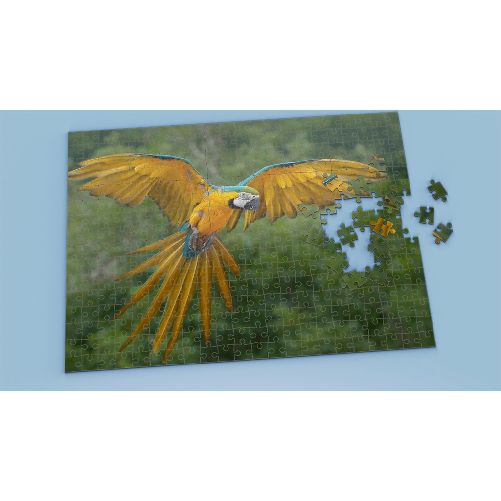 Tranh ghép hình BIRD - Mẫu 16 - Nhận in theo yêu cầu