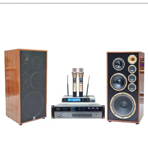 Bộ dàn karaoke gia đình loa Weeworld W921pro 20,5 triệu