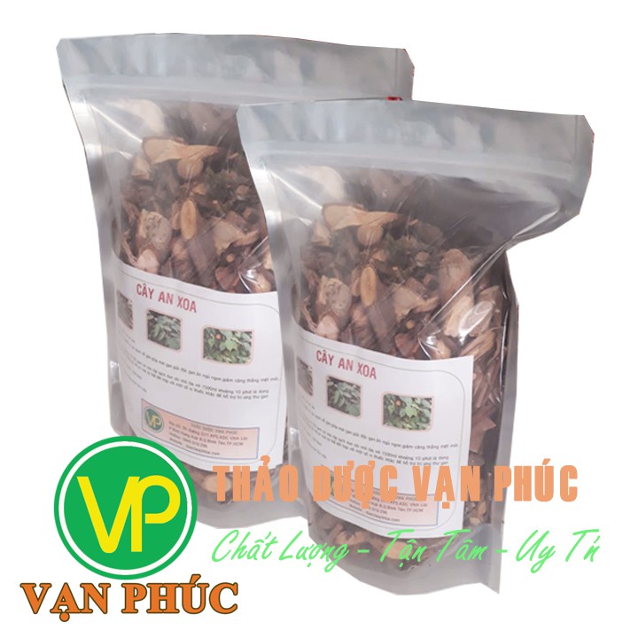 cây an xoa 1kg Bình phước | BigBuy360 - bigbuy360.vn