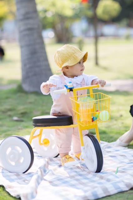 Xe đạp MUJI 3 bánh