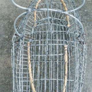 Lồng bẫy chim khuyên