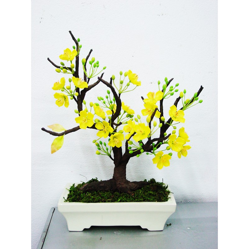 Combo dụng cụ, nguyên liệu làm cây mai bonsai bằng vải voan