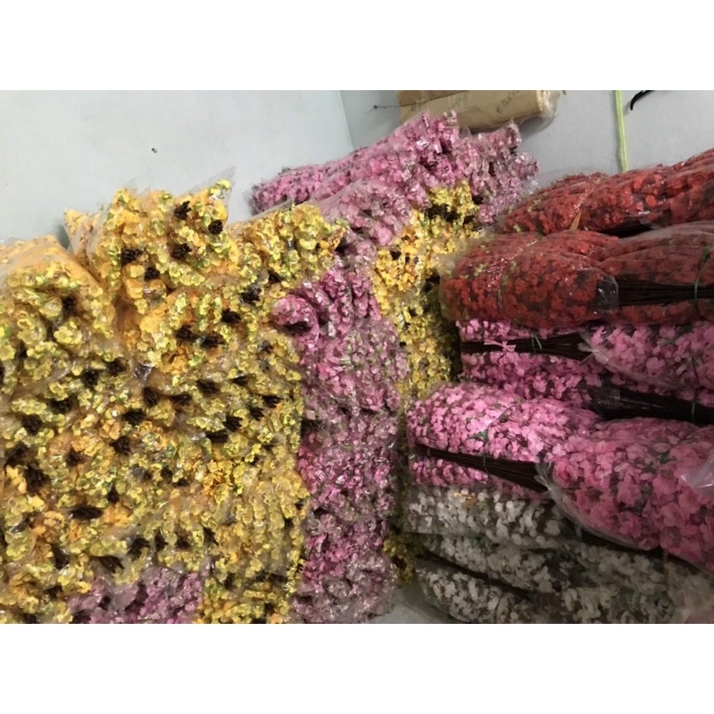 combo sỉ 100 cành hoa anh đào, hoa mai đủ màu