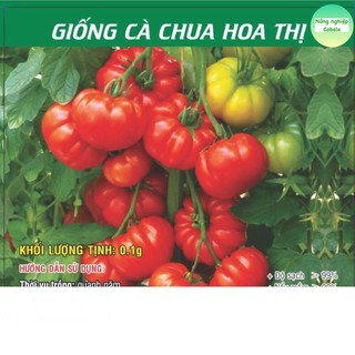 Hạt Giống Cà Chua Hoa Thị 0.1gr