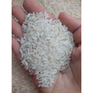 Gạo Hàm Châu ( 5kg )