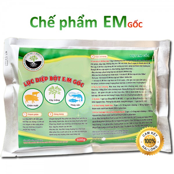 Chế phẩm EM gốc dạng bột (Gói 500gr)