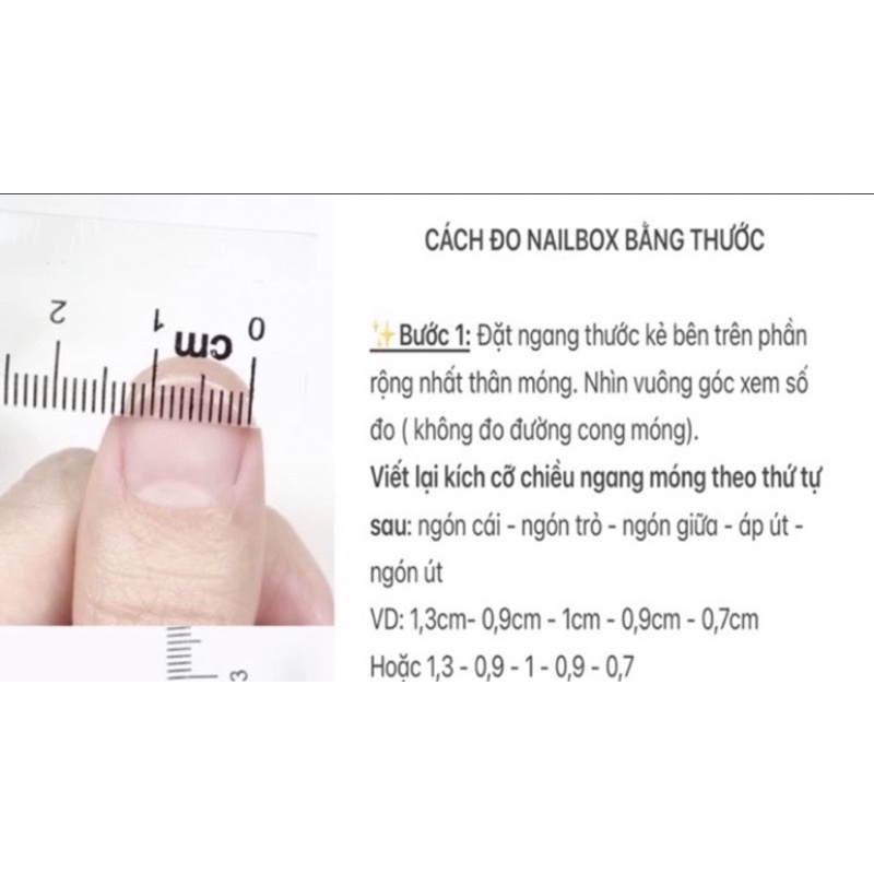 Nailbox  Móng Úp Thiết Kế BearBrick