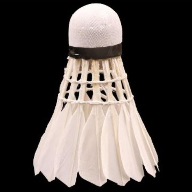 Cầu Lông Thành công xanh