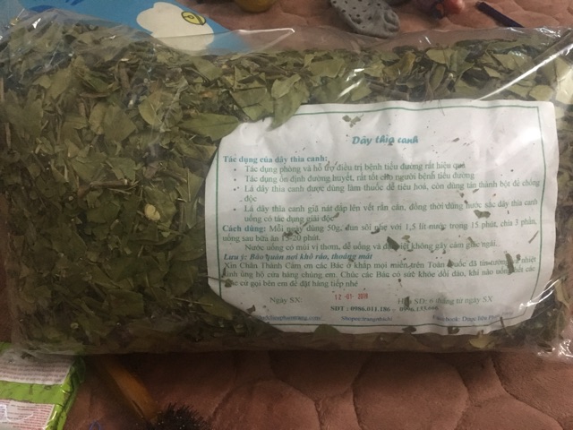 Dây thìa canh