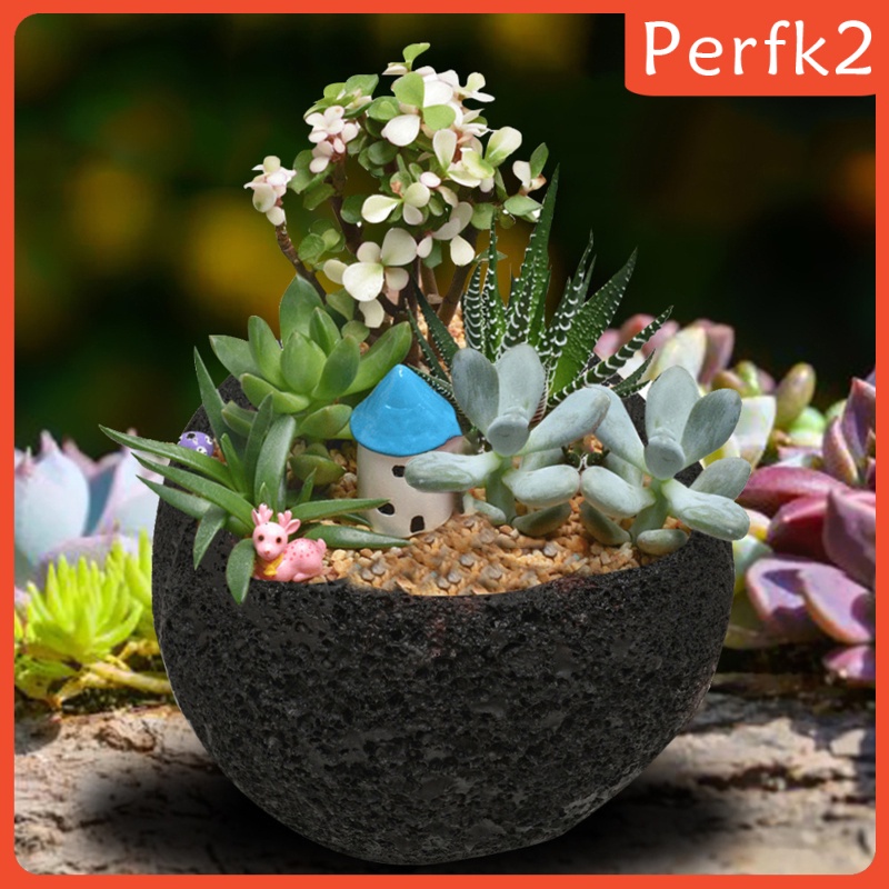 Cute Succulent Plant Flower Pot Garden Flowerpot Office Desk Decor