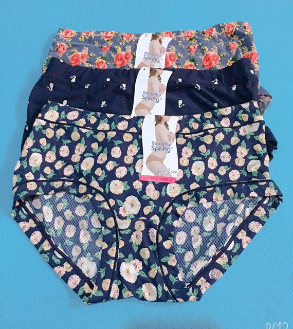 Quần lót điều hoà , quần lót Thông hơi Beautiful Spring mã 5048 ( loại 1)