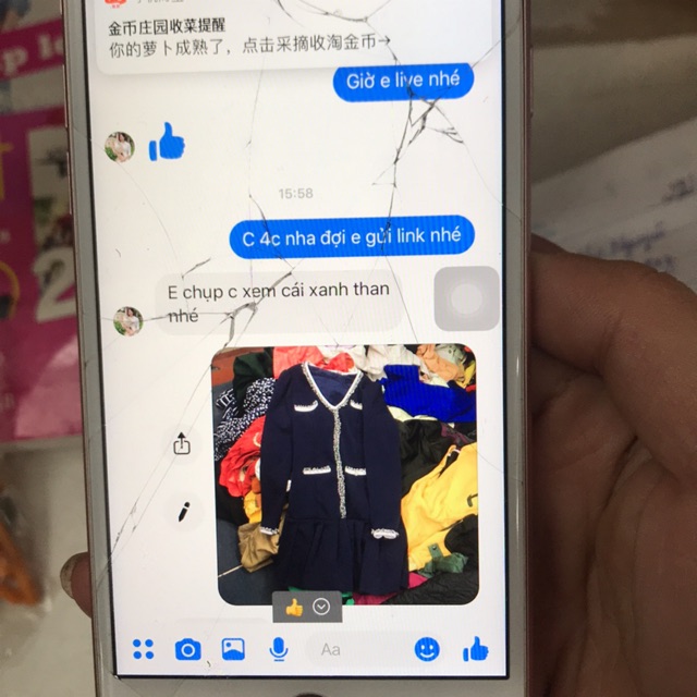 Đơn c Diệp Anh