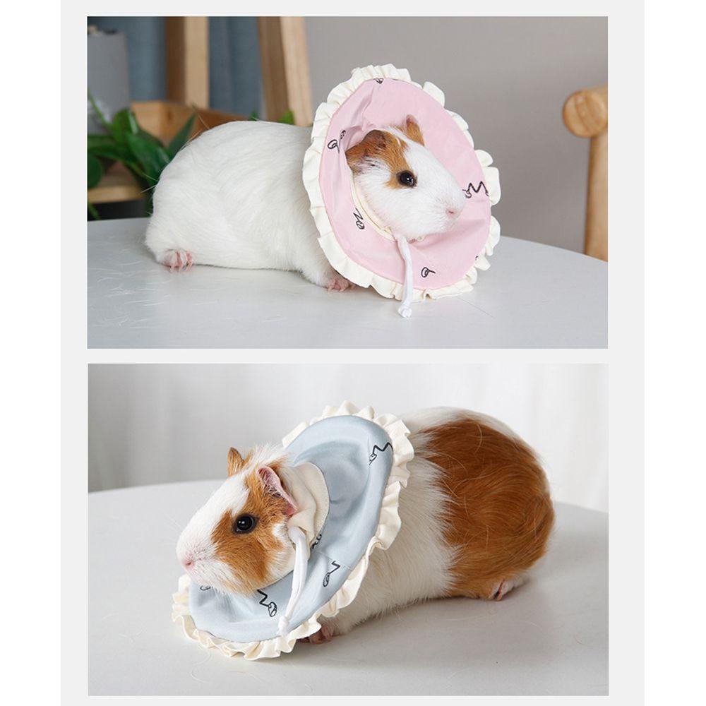 LEISURE Vòng Cổ Hình Nón In Chữ Guinea Dễ Thương Cho Thú Cưng