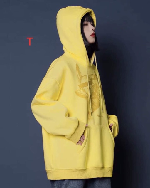 [FREESHIP ĐƠN TỪ 50K] Áo hoodie mèo điện bịt mắt DTR1019