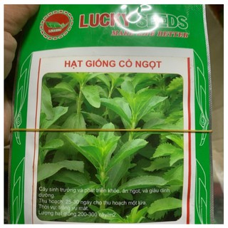 Hạt giống cỏ ngọt