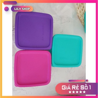 Hộp bảo quản thực phẩm small summer fresh -🧡freeship🧡