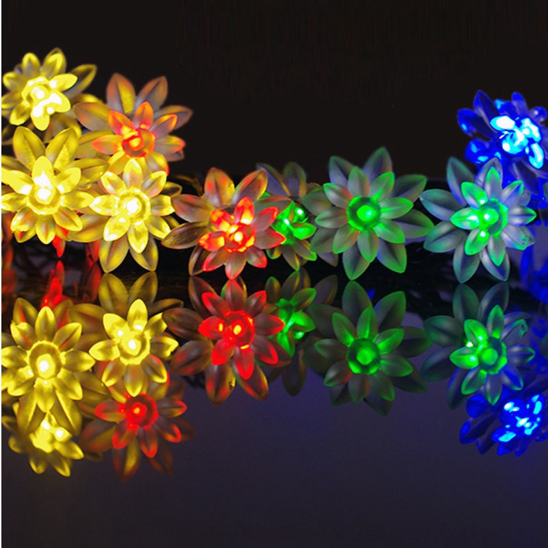 10m dây đèn led gồm 100 bóng hình hoa sen trang trí năm mới