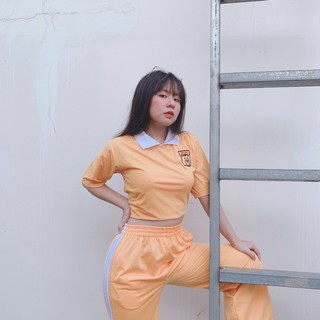 Áo Thun CROPTOP Thiêu Ngực Cổ Bẻ