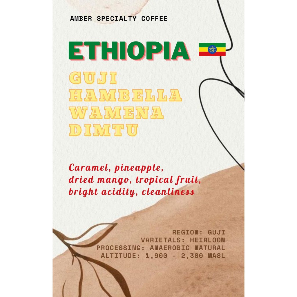 Cà phê Hạt rang Ethiopia Guji Hambella Wamena Dimtu Anaerobic Natural G1 túi 150g