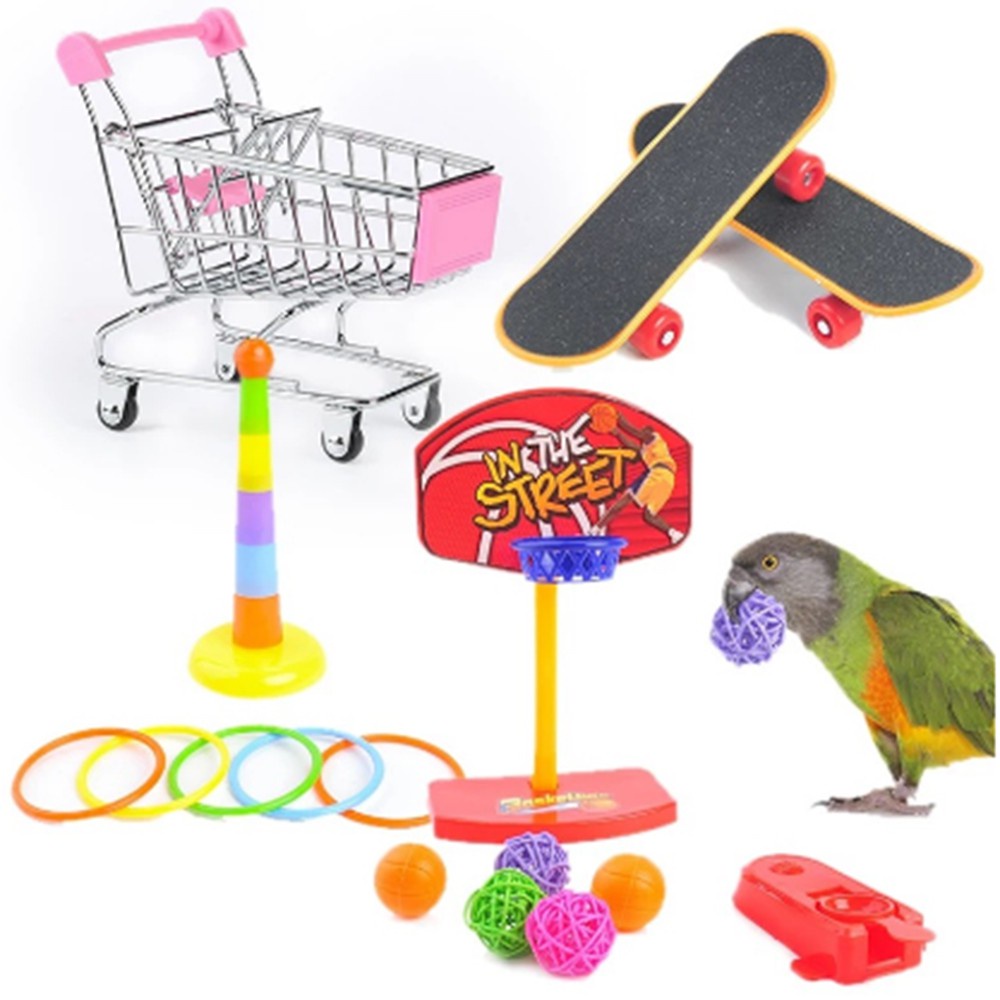 Set 4 Đồ Chơi Ván Trượt Mini Vui Nhộn Cho Vẹt