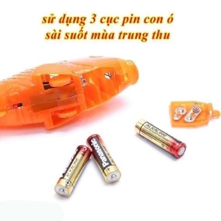 Combo đèn lồng cá chép