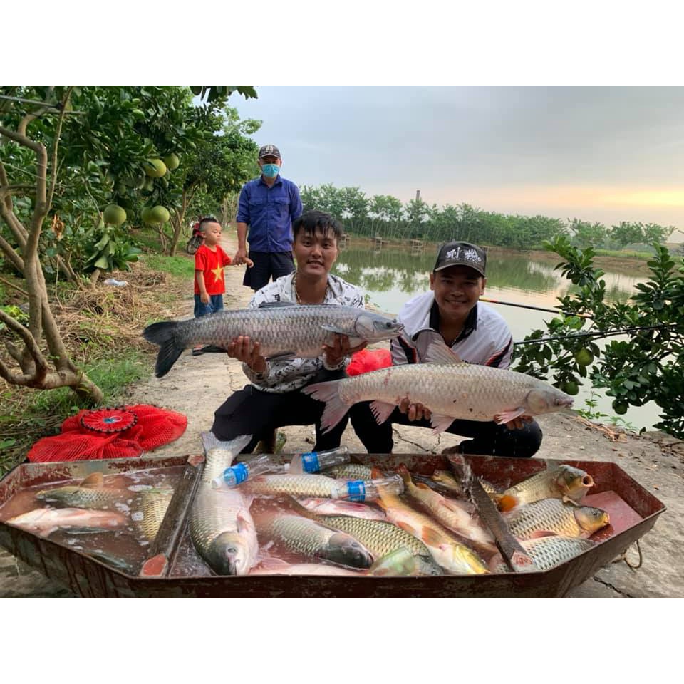 Hương liệu câu trắm trắng trắm đen hồng ngư- lục ngư
